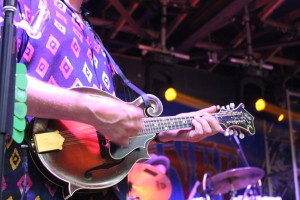 leftover salmon (2)