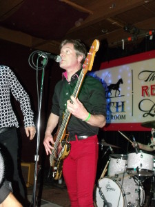 fleshtones (20)